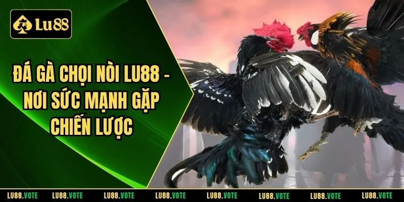 Đá gà chọi nòi