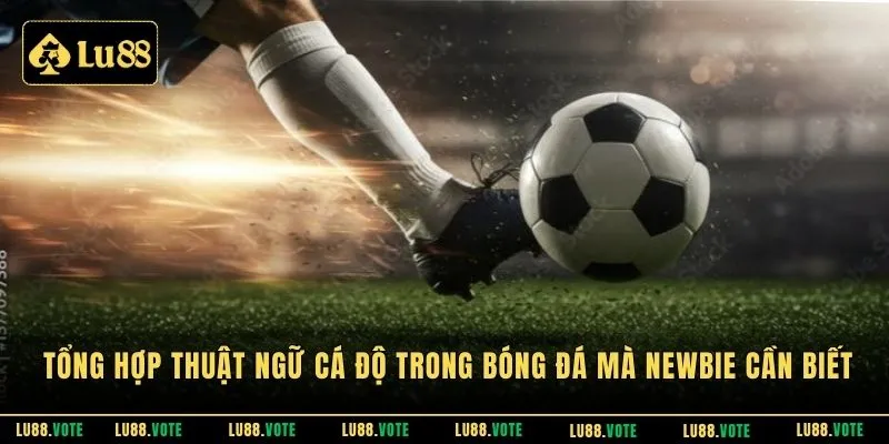 Tổng hợp thuật ngữ cá độ trong bóng đá mà newbie cần biết